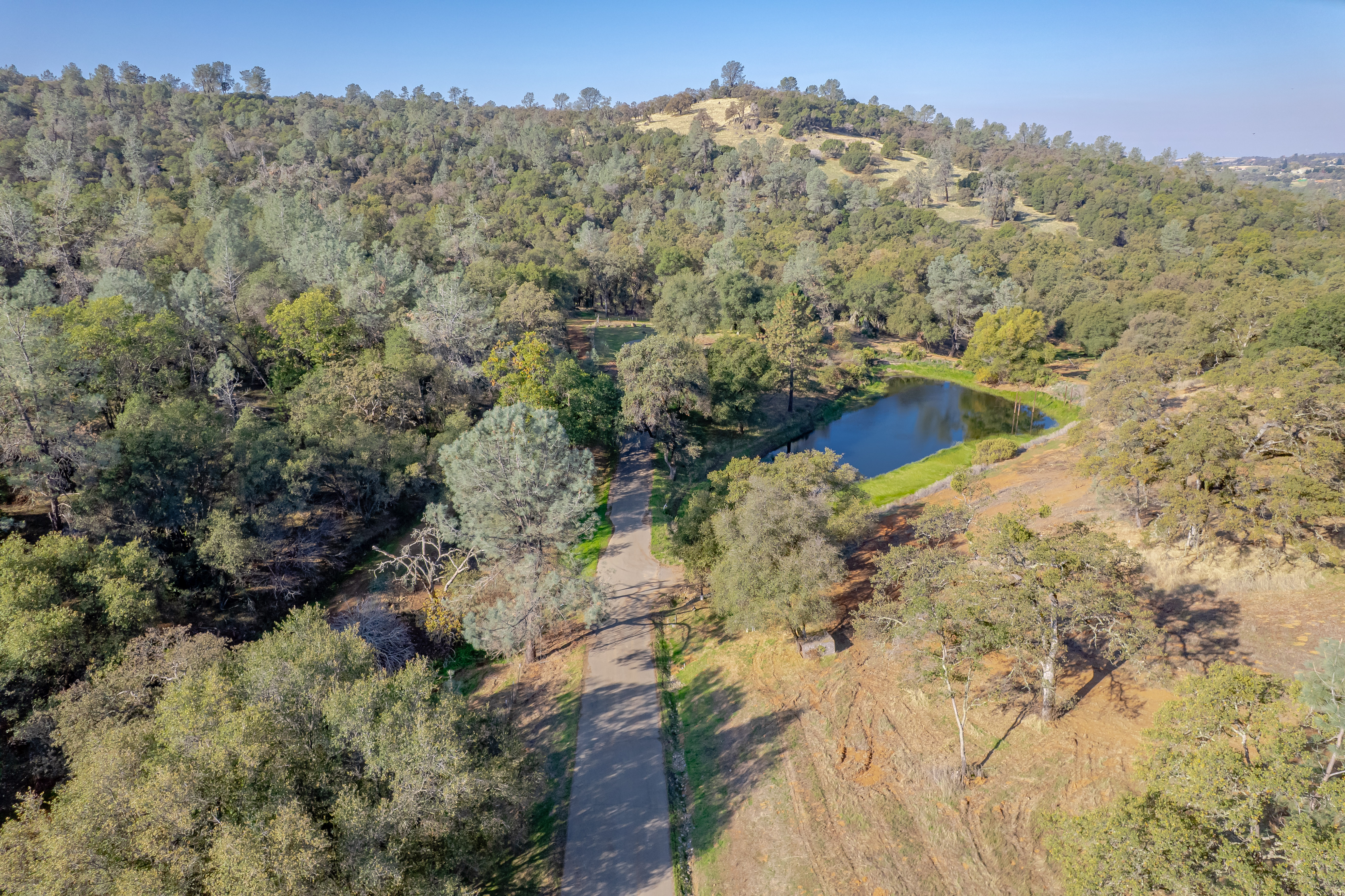 Aerial view of a winding pathway surrounded by greenery and trees, leading to a small pond in a natural landscape.